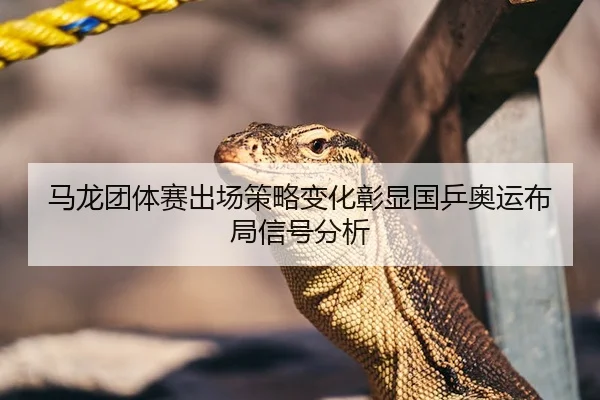 马龙团体赛出场策略变化彰显国乒奥运布局信号分析