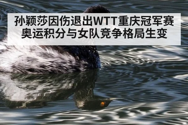 孙颖莎因伤退出WTT重庆冠军赛 奥运积分与女队竞争格局生变