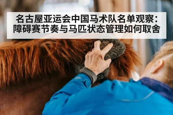 horse stable care grooming