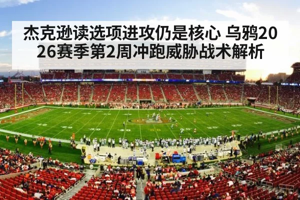 NFL football stadium action