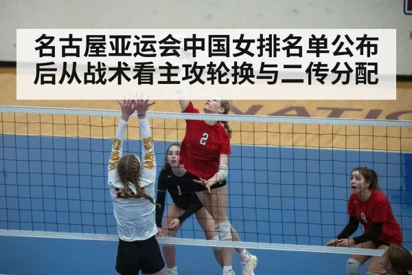 volleyball setter action