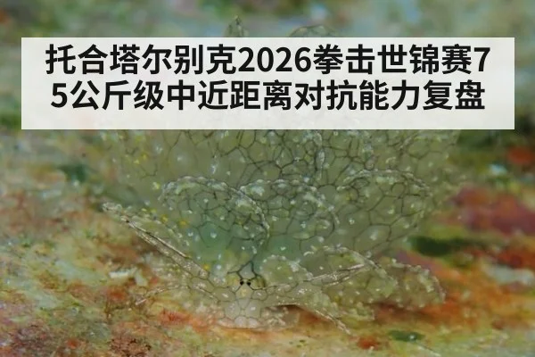托合塔尔别克2026拳击世锦赛75公斤级中近距离对抗能力复盘